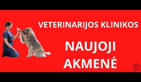 veterinarijos-klinikos-naujoji-akmene