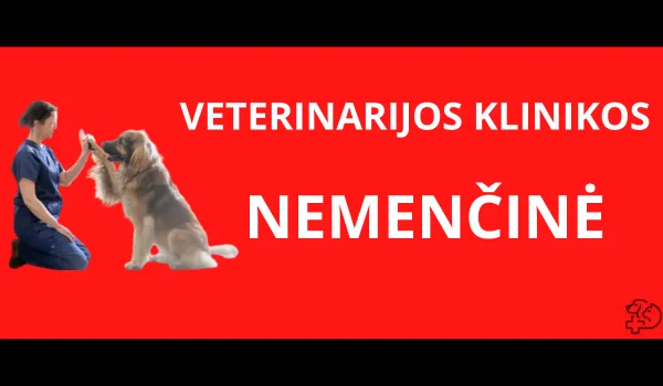 veterinarijos-klinikos-nemencine