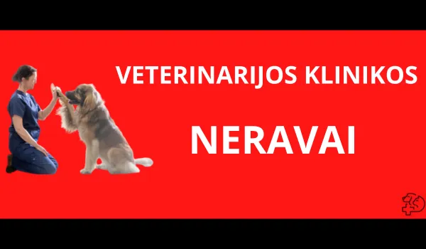 veterinarijos-klinikos-neravai