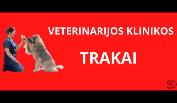 taksi_trakai