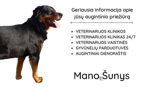 gyvunu-prieziuros-paslaugos-informacija