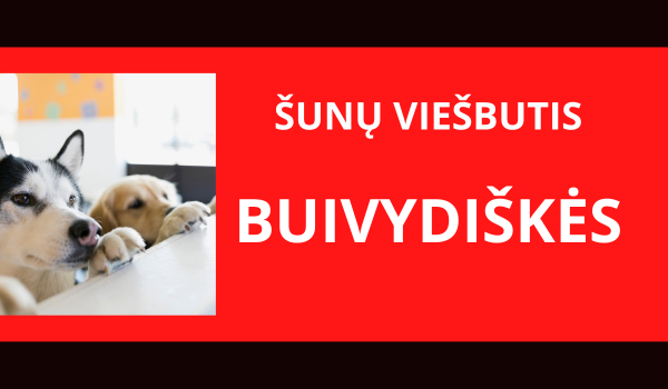 un Vie butis Buivydi k s 2026 un-vie-butis-buivydi-k-s-2026